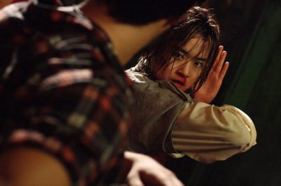 Яростный феникс | Raging Phoenix  — фотогалерея 22