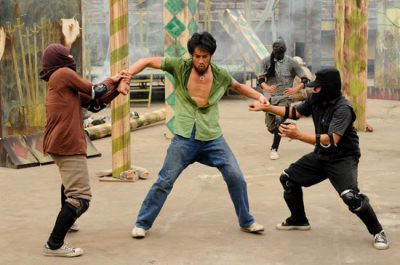 Яростный феникс | Raging Phoenix  — фотогалерея 28