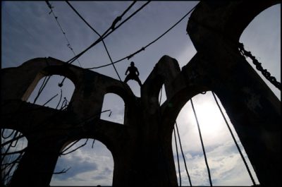 Яростный феникс | Raging Phoenix  — фотогалерея 51