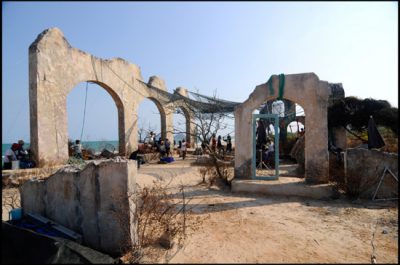 Яростный феникс | Raging Phoenix  — фотогалерея 59