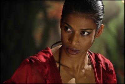 Яростный феникс | Raging Phoenix  — фотогалерея 64