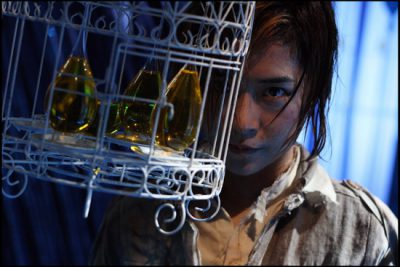 Яростный феникс | Raging Phoenix  — фотогалерея 66