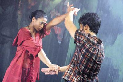 Яростный феникс | Raging Phoenix  — фотогалерея 17