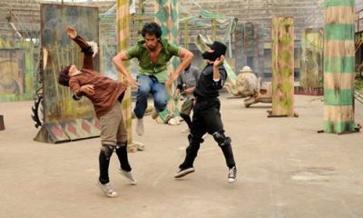 Яростный феникс | Raging Phoenix  — фотогалерея 21