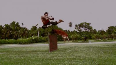 Тони Джаа | Tony Jaa - фотогаллерея 260