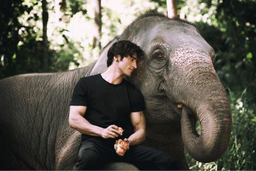 Трейлеры фильмов "Джунгли", "Маникарника: Королева Джханси" и "Банды Индостана"