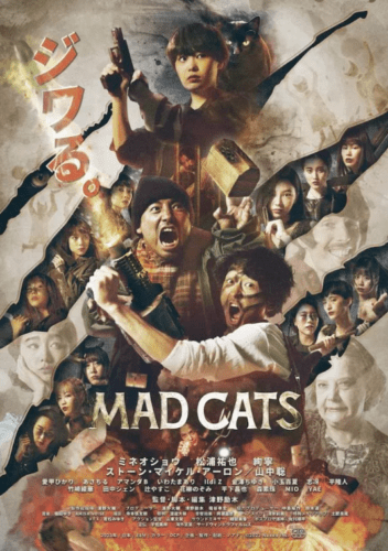 «Бешеные кошки» (Wild Cats)